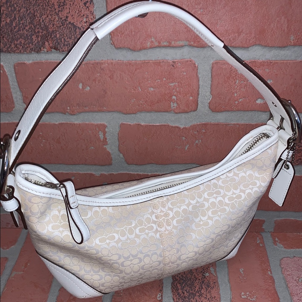 Coach Mini Signature Small Hobo Bag